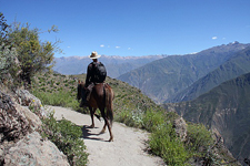 Peru-Arequipa-Colca Canyon Explorer Ride on Peruvian Pasos